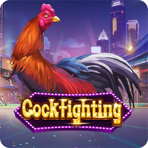 Cockfighting